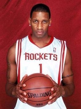 在冬季的冰 在冬季的冰