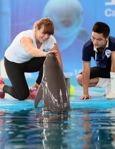 广东首个轮椅击剑队出征！残特奥会轮椅击剑项目在香港开赛